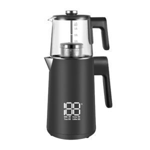 چایساز بیکا روهمی 1455